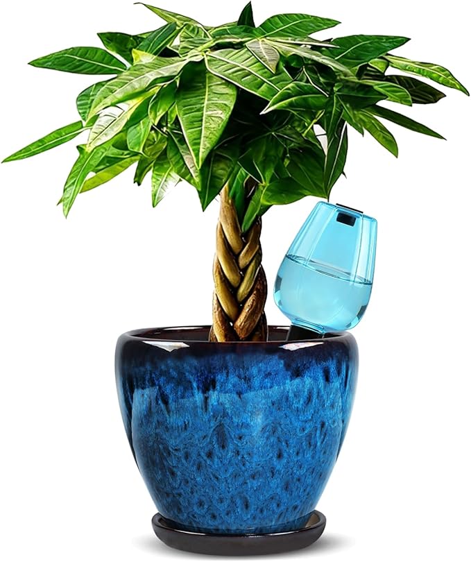 Ceramic Pots for Plant with Self Watering Globes, 8 inch Planters for Indoor Plants with Saucer, Glaze Flower Pots Outdoor with Drainage Holes, Decorative Garden Pots