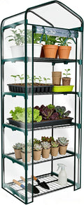 Worth Garden 5 Tier Mini Greenhouse - 75'' H x 27'' L x 19'' W - Sturdy Portable Gardening Shelves with PVC Cover - Small Porch Green House for Growing Plants Flowers Indoor & Outdoor