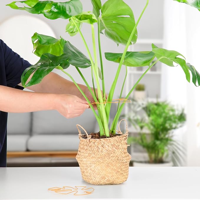 6PCS Iron Monstera Plant Support, Uniquely Designed Indoor Plant Accessories, Stable Plant Support Stakes for Indoor Plant, Turtle Shell Bamboo Clamp Set for Thriving Growth