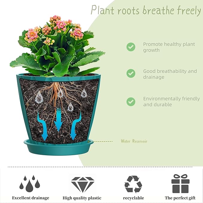 4 Inch Plant Pots, 6 Pack Indoor Flower Pots, Planters with Drainage Holes and Trays for Orchids, Violets, Succulents, Herbs, and Other Plants,Blue-Green