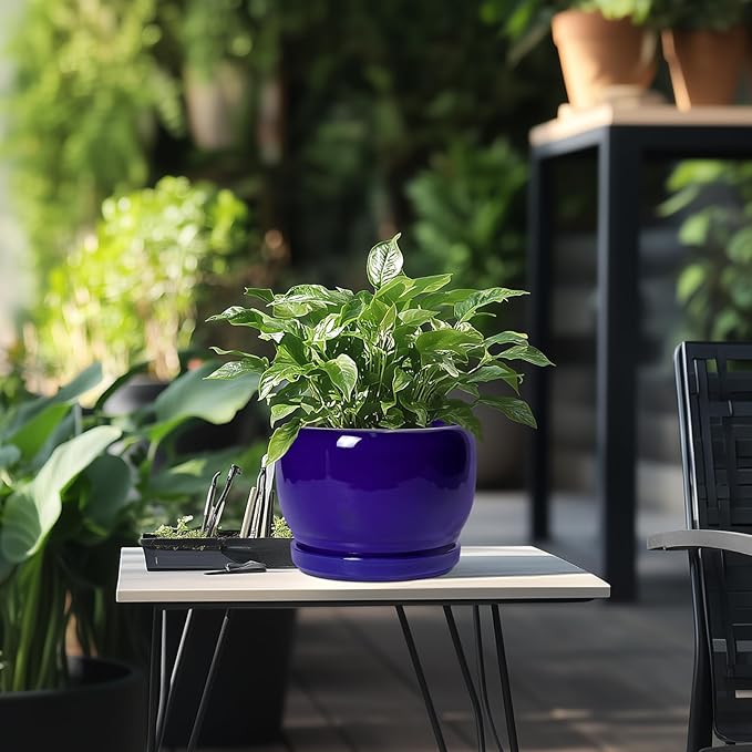 SQOWL 8 Inch Plant Pot - Ceramic Planter for Indoor Plants Outdoor, Ceramic Flower Pot with Drainage Hole and Saucer, Modern Round Planter, Bathroom Decor, Gifts for Plant Lovers, Blue