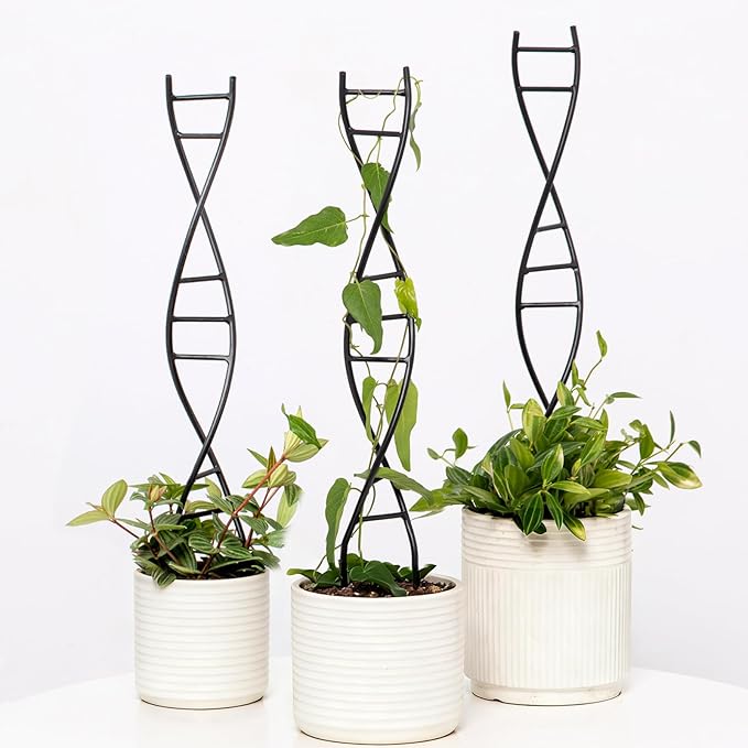 DNA Spiral Plant Trellis Indoor - Durable Metal Trellis for Potted Plants, Perfect for Small Houseplant Pots, Ideal for Ivy and Pothos, Space-Saving Vertical Support for Climbing Growth