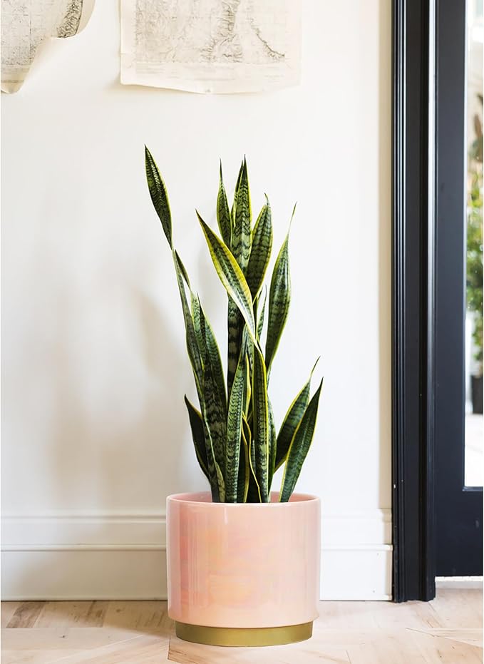 Gepege Pink Indoor Plant Pots for Plants, Large Ceramic Planter with Drainage Hole, 9.6-inch Succulent Orchid Flower Pot - Rainbow Pearl Glaze