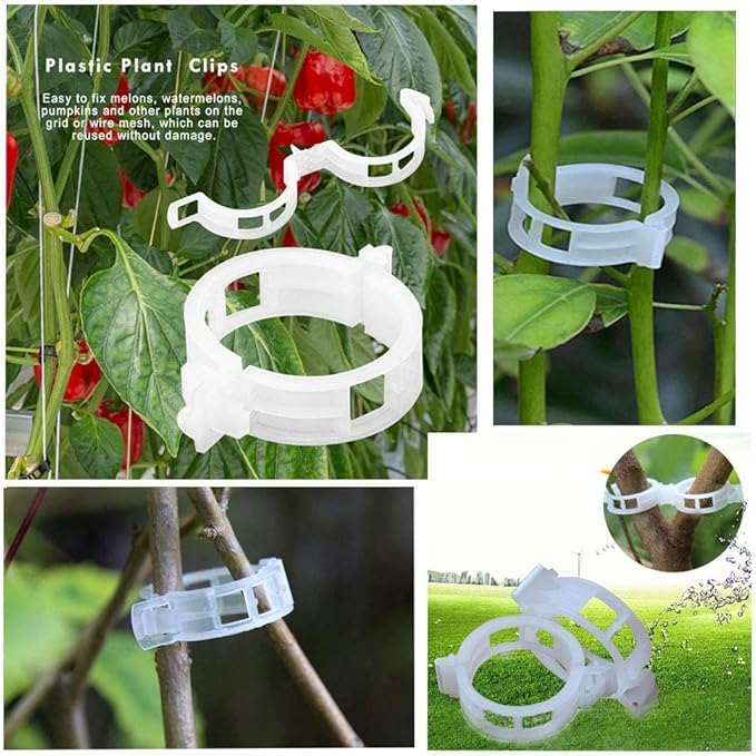 OJYUDD 300 PCS Plant Support Garden Clips,Tomato Vine Clips,Durable Crop Clips in White for Flower Vine Twine Tomato Orchid to Grow Upright and Healthier