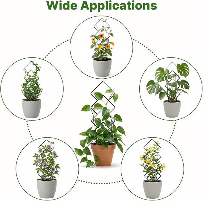Indoor Trellis for Climbing Plants: 3PC Small Garden Metal Trellis for Vine Ivy Hoya Houseplants Flower Potted Plant Outdoor