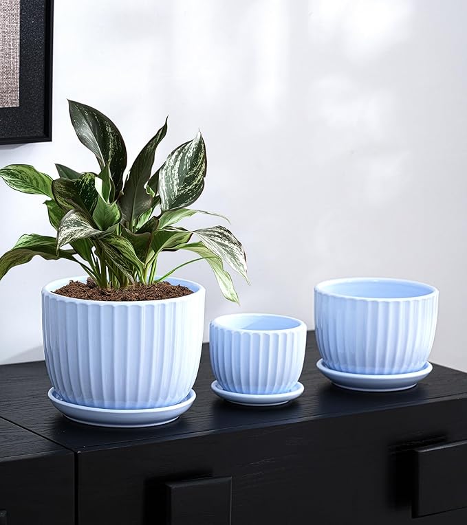 Ton Sin Sky Blue Ceramic Flower Pots, 4"+5"+6" Inch Small Succulent Planters with Drainage Hole,Modern Indoor Decorative Plant Pots Set of 3,Garden Pots with Saucer(Blue)