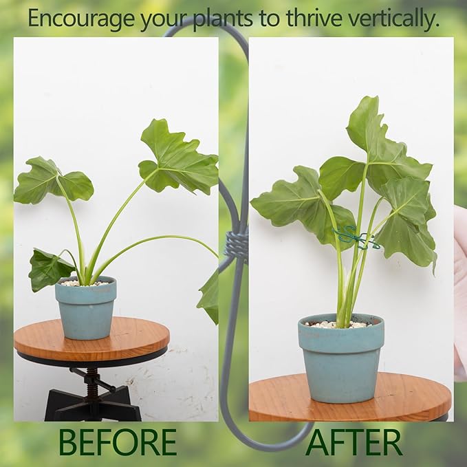 Monstera Plant Stem Support - Set of 5 Sturdy Indoor Support Sticks for Monstera & Climbing Plants - Essential Growth Stabilizers for Leaf Support - Easy-to-Use Gardening Accessories