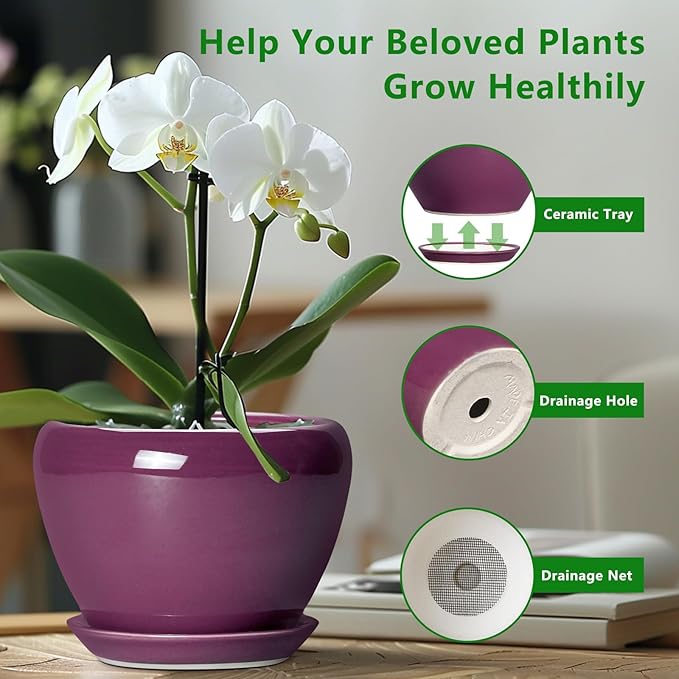 10 Inch Plant Pot - Ceramic Planter with Drainage Hole and Saucer, Round Modern Flower Pot for Indoor Outdoor Plants, Housewarming Gift, Home Garden Decor, Purple