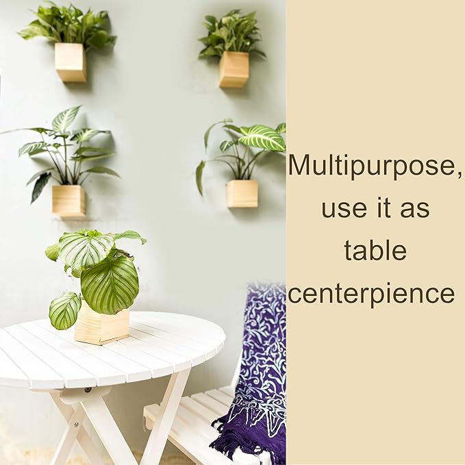 LaLaGreen Wooden Planter Box for Plants (4x4 Inch, 6 Pack) Small Square Wall Planters for Indoor Plant, Natural Wood Hanging Flower Boxes Herb Planter Table Centerpiece Modern Home Garden Office Decor