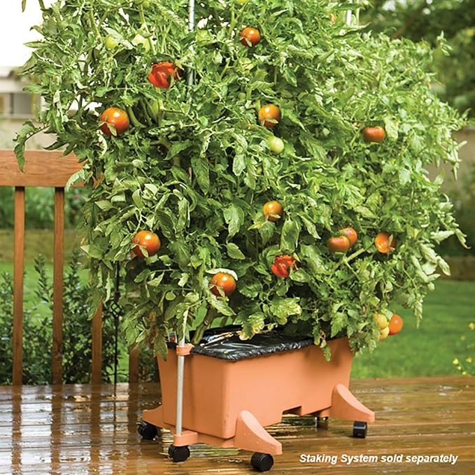 EarthBox 80105 Garden Kit, Standard, Terracotta