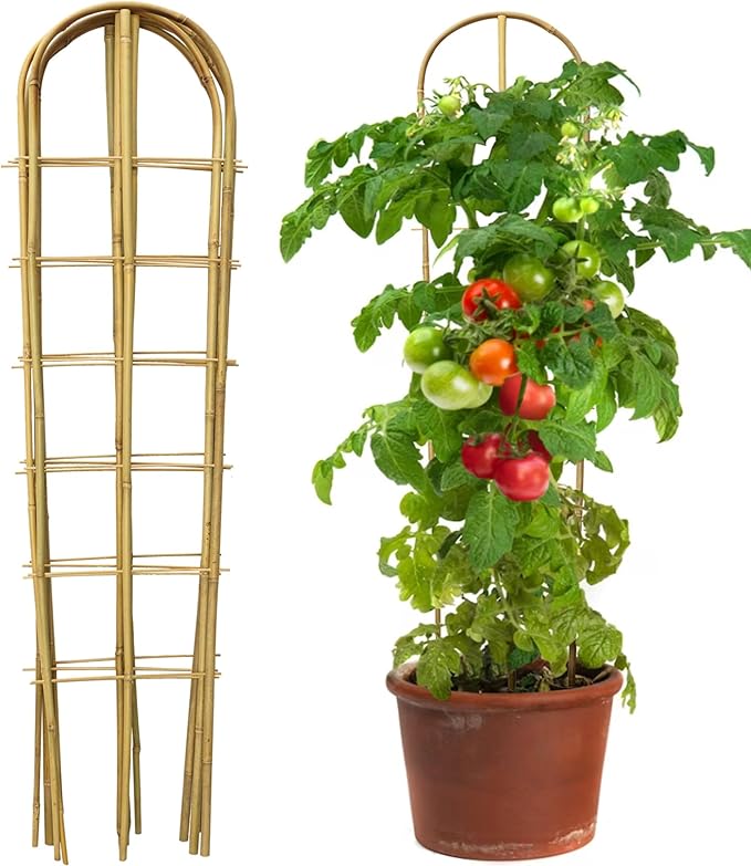 5 Pack 4 Feet U-Shape Bamboo Trellis, Natural Bamboo Trellis for Climbing Plants, Vegetables, Cucumber, Tomato, Outdoor and Indoor Potted Plants
