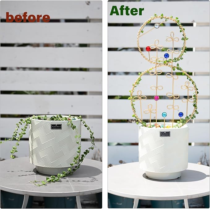 2PCS Hoya Trellis Plant Support Indoor Metal Frame Unique Trellis for Climbing Plants Potted Hoya Pots Small Houseplant Vine Support for Plant Lovers Home Decor