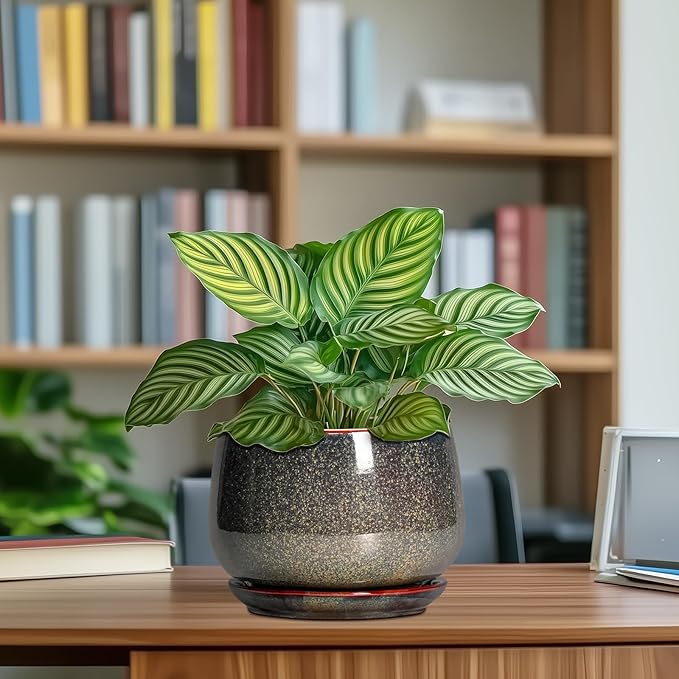 G EPGardening 7 Inch Ceramic Pots for Plants - Ceramic Planters for Indoor Outdoor Plants, Round Plant Pots with Drainage and Saucer, Modern Planter, House Decor, Plant Lover Gifts, Speckled Brown