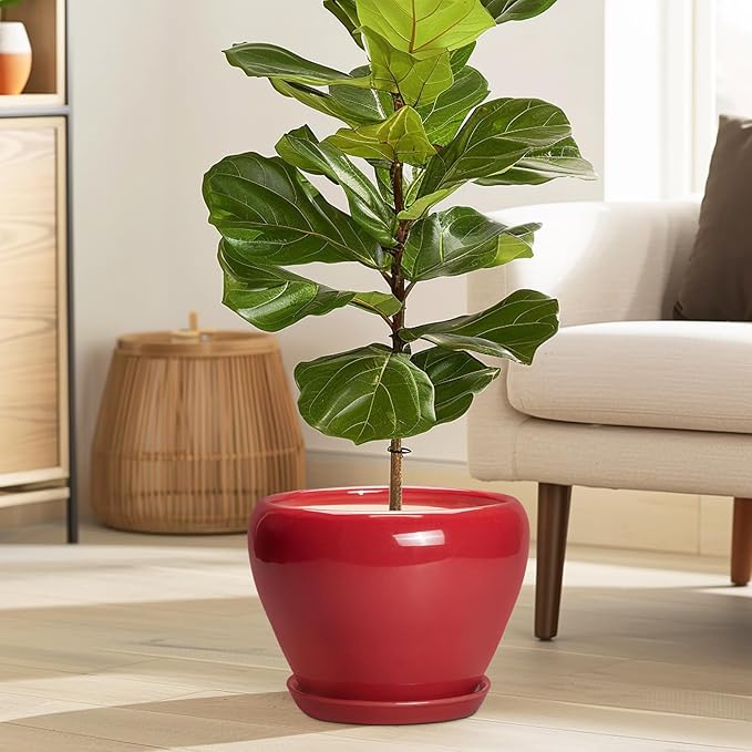 Ceramic Planter for Indoor Plants 8 Inch - Ceramic Plant Pot with Drainage Hole and Saucer, Glaze Round Decorative Modern Flower Pot, Housewarming Gift, Home Room Office Decor, Red