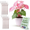 Plant Support Stakes for Indoor & Outdoor Use, Durable Trellis Alternative for Climbing & Potted Plants, Houseplant Stem Holder Structures - Begonia Red, 10 Pack, 22" L, Original