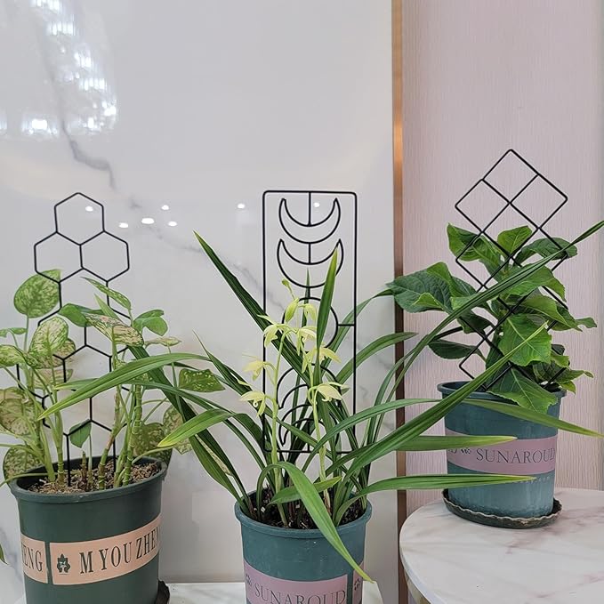 Metal Trellis for Climbing Plants Indoor, 16.36 inch Small Trellis for Potted Plants Geometric Shape Lattice for Ivy Vines Hoya Houseplants Flower 2 Pack