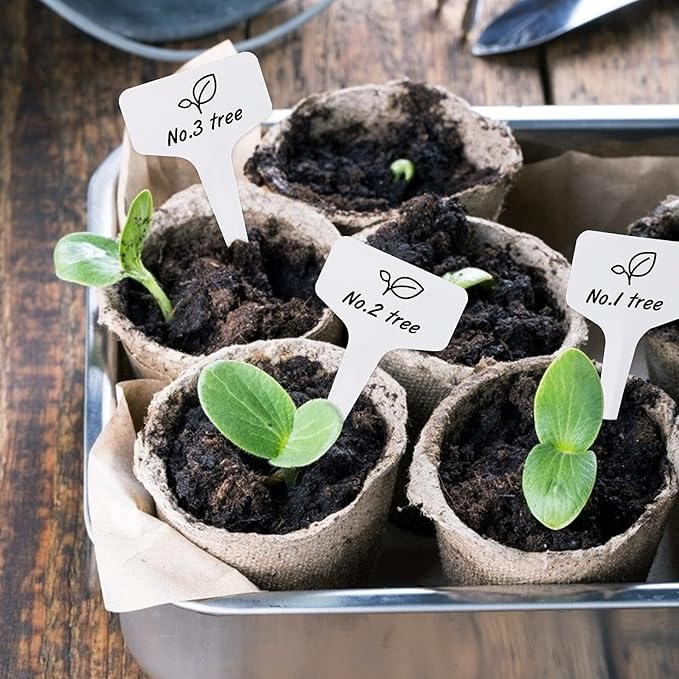 KINGLAKE 100 Pcs 6 x10cm Plastic Plant T-Type Tags Nursery Garden Labels
