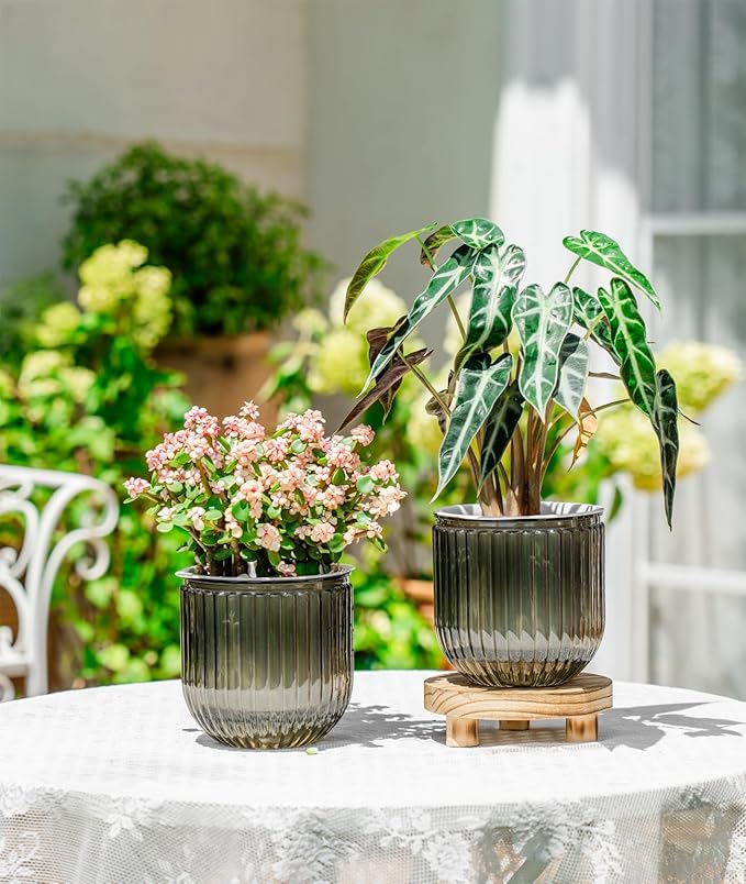 Melphoe Self Watering Pots for Indoor Plants Planter, 5.3 Inch 2 Pack Planters Self Watering Plant Pots for Flower, Houseplants, Succulent, African Violets and Cactus with Drainage