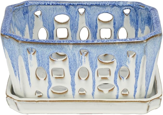 W&W Orchid Pot with Holes and Saucer for Repotting, Blue and White, 9.7 Inch