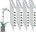 20 Pack Plant Support Stakes with 24 Pcs Plant Clips, Garden Single Stem Support Stake, Plant Cage Support Ring for Indoor Outdoor Flowers Rose Amaryllis Tomatoes Peony Lily Orchid (24 Inch)