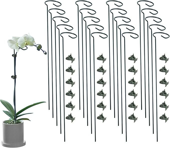 20 Pack Plant Support Stakes with 24 Pcs Plant Clips, Garden Single Stem Support Stake, Plant Cage Support Ring for Indoor Outdoor Flowers Rose Amaryllis Tomatoes Peony Lily Orchid (24 Inch)