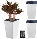 2 Pack Self Watering Planters 10.7" x 6.9" Planter for Indoor Plants White Self Watering Violet Pots Plastic Flower Pots Square Planter with 3D Wallpaper Pattern