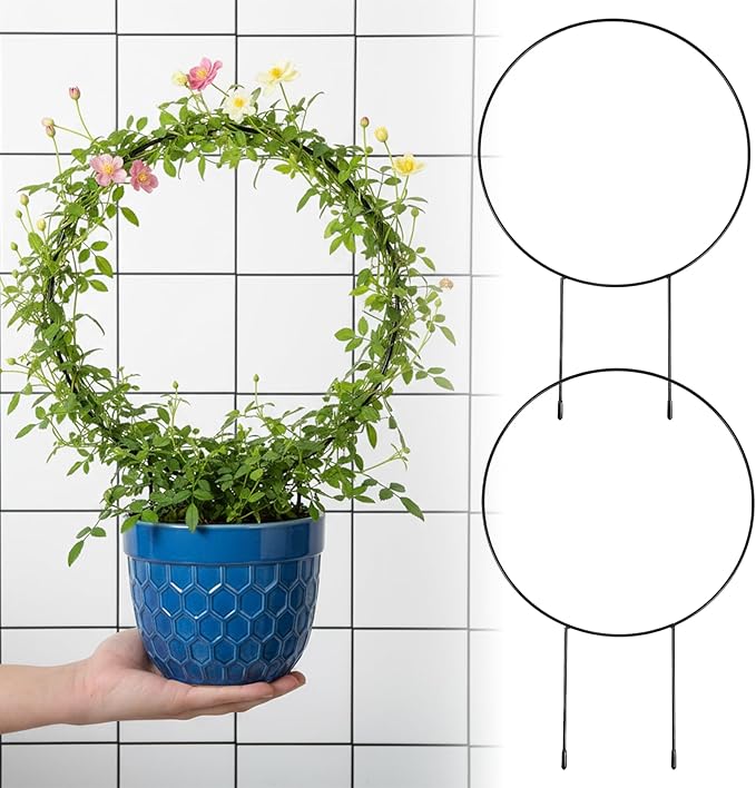 2 Pcs Trellis for Climbing Plants Indoor 14.5" Hoya Trellis Set Small Plant Support Stakes Round Climbing Plant Supports Flower Houseplant Hoya Support for Garden Stem Vines Potted Plants
