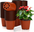 Nursery Pots 100 PCS 6 Inch Plant Pots with 100 Labels, Planting Pot for Plants Indoor Outdoor, Plastic Flower Pot for Seedlings Transplanting Small Plants Growing