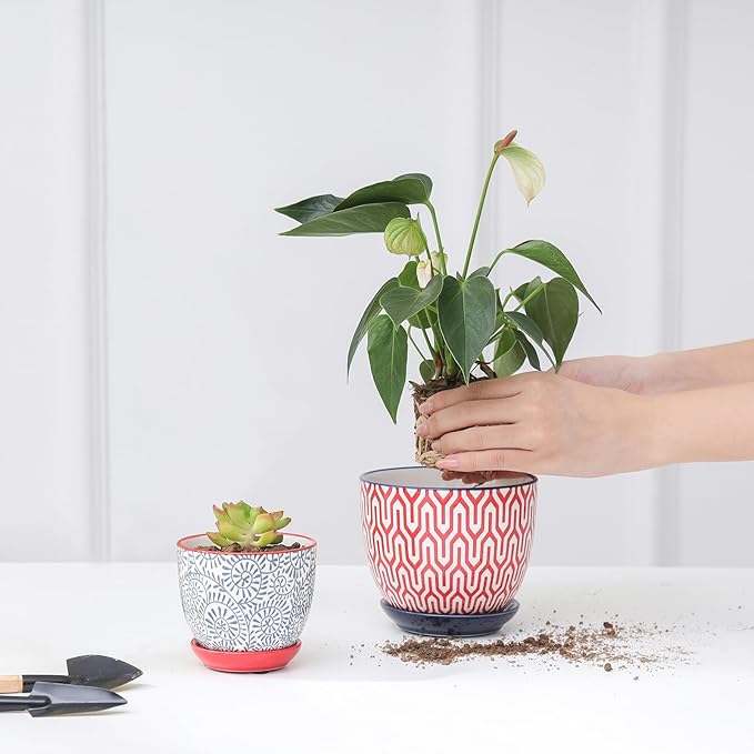 Selamica Ceramic Succulent Pots, 3.5 Inch Small Plant Pots for Indoor Plants Cactus Herbs, Succulent Planters with Drainage Holes & Saucers, Home Decor, Set of 6, Assorted Colors