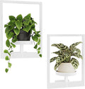 Bamworld White Plant Stand Indoor, Plant Hanger Wall Planters for Indoor Plants Window Plant Shelves Plant Holder Wall Decor, Room Decor (Patent Design)