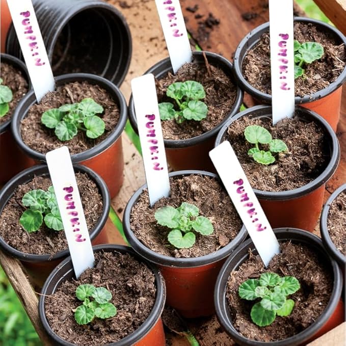 Plant Nursery Pot/Pots 100 Pcs 6" Plastic Small Plants Pots Flower Pots Seed Starting Pots for Plants Indoor Outdoor Seeding pots (with 100 Plant Labels)