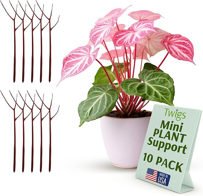 Mini Twigs Plant Support Stakes for Small Plants, Indoor & Outdoor Use, Gardening Supplies, Garden Accessories, Trellis & Ring Alternative, Made in USA - Begonia (Red), 10 Pack, 12" L