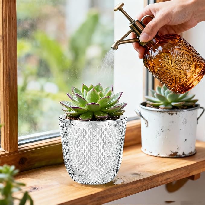 QCQHDU 2 Pack Self Watering Pots, 5.7 Inch Flower Pots with Drainage Holes and Water Filling Port, Garden Planter for Indoor Outdoor Plants (Clear)