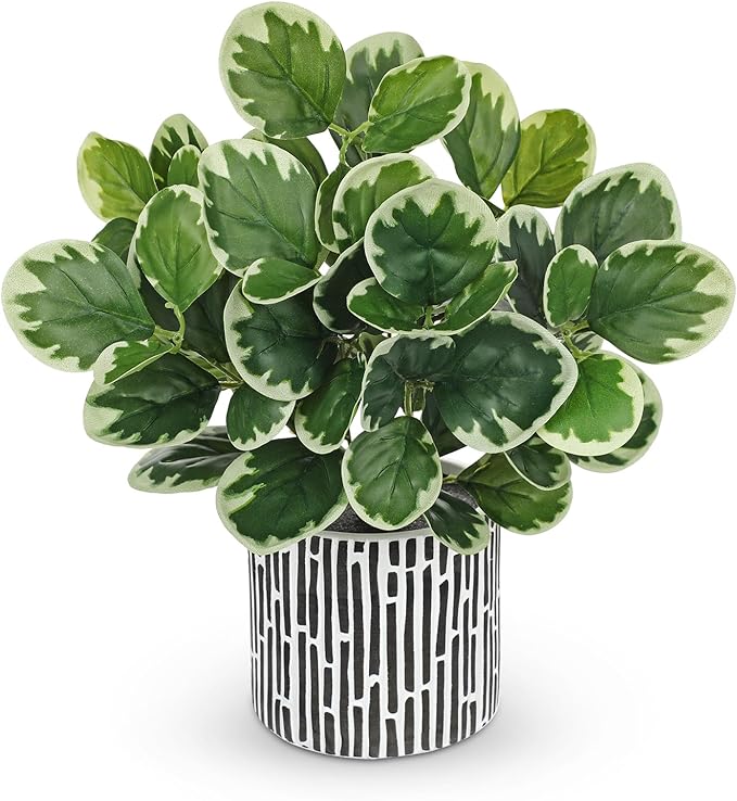 13" Artificial Plants Indoor Small Fake Plant in Ceramic Pot, Silk Plants for Home Decor Indoor, Faux Potted Plant for Shelves, Desks, Home, Room, Office, Bedroom, Farmhouse, Entryway, Tabletop Decor