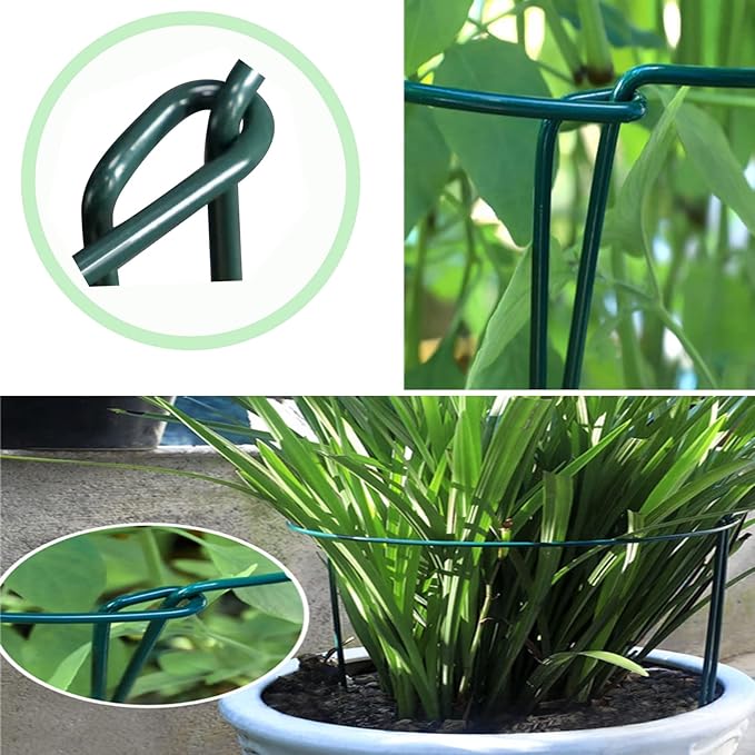 Plant Support Stakes,10Pack Metal Garden Plant Stake,Green Plant Support Ring Cage for Tomato,Rose,Flowers (10)