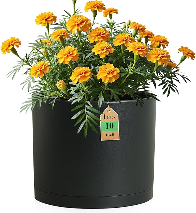 10 Inch Round Plastic Plant Pot with Drainage Holes and Saucer, Wide Flower Pots for Indoor & Outdoor Plants– 7.9" Tall Modern Cylinder Planter Pot for House Plants and Home Decorative, Matte Black