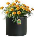 10 Inch Round Plastic Plant Pot with Drainage Holes and Saucer, Wide Flower Pots for Indoor & Outdoor Plants– 7.9" Tall Modern Cylinder Planter Pot for House Plants and Home Decorative, Matte Black