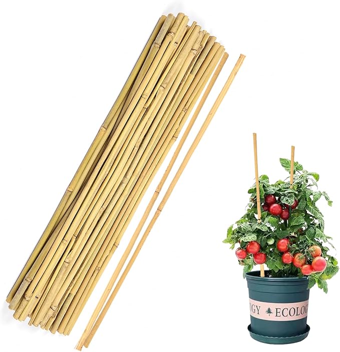 40pcs Natural Bamboo Sticks for Indoor and Outdoor Plants, 16 Inch Plant Support Stakes for Tomato, Beans, Potted Plants and Vegetable