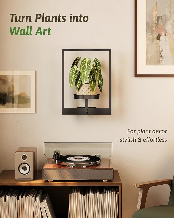 Wall Plant Holder Wall Planters for Indoor Plants Plant Wall Shelf Plant Hanger Indoor Hanging Plant Holder Plant Wall Hanger for Living Room Window Balcony