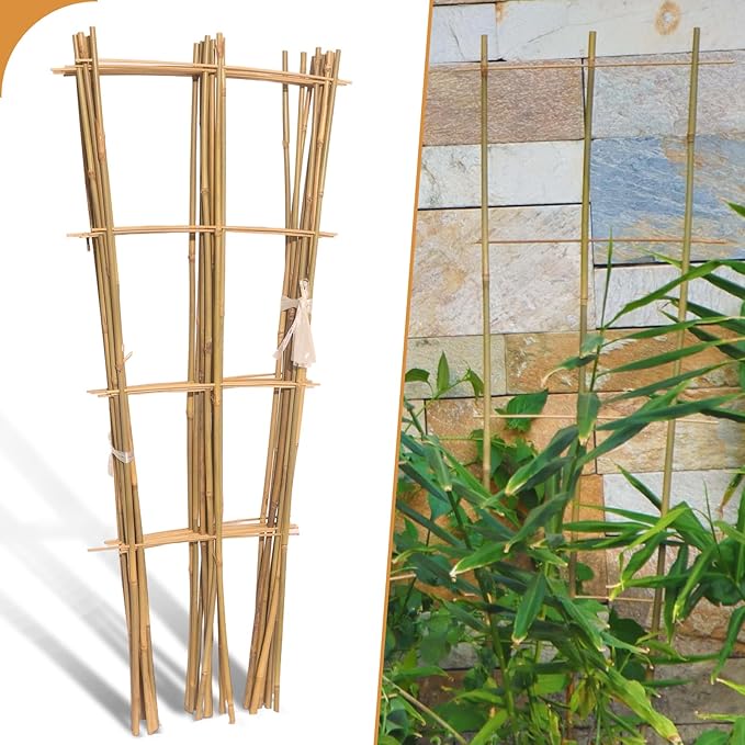 10 Pack 3ft Bamboo Trellis for Climbing Plants - Fan-Shaped Support Trellis for Potted Plant Decor in Door