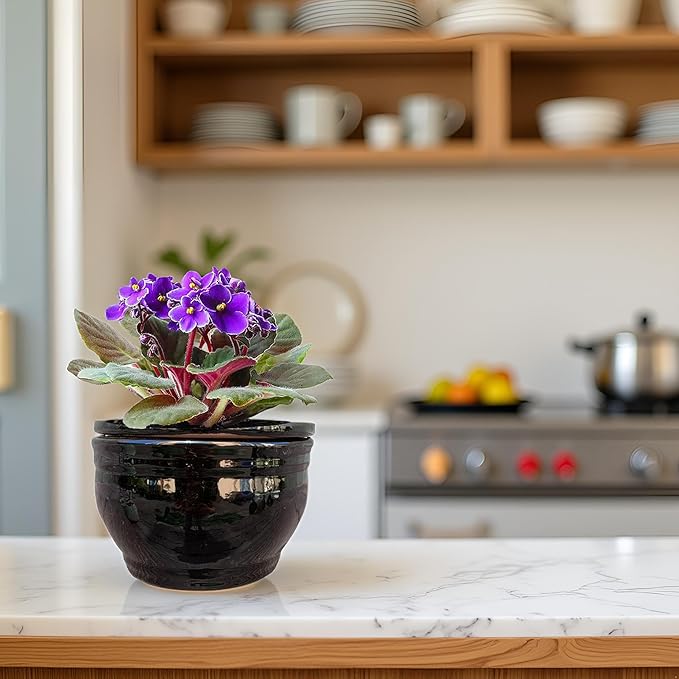 African Violet Pots Self Watering Round Ceramic Violet Pot (Black, 6 inch)
