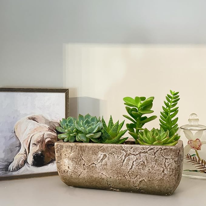 Classic Home and Garden Dakota Rectangular Planter Box w/Drain Plug - Small Succulent Pots for Window Sills & More - Shallow Trough Planter for Indoor Outdoor Use (8” Earth Moss Gray)