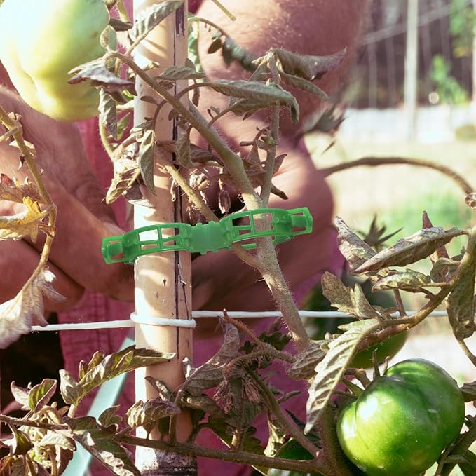 OJYUDD 300 Pcs Plant Support Clips,Plastic Tomato Clips,Plant Support Clips,Garden Vine Clips for Climbing Plants,Tomato,Grape,Plants Stalks (Green)