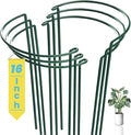 6-Pack Snake Plant Support Stakes, Half-Round Peony Cages and Supports, Green Plant Support Ring - Sturdy and Durable for Indoor and Outdoor Potted Plants, Such as Amaryllis, Peony, Hydrangea