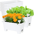 Self-Watering Rectangle Planter Boxes 8-Pack, 15.7-Inch Window Box Planter with Drainage Holes & Trays, Pots for Vegetables, Herbs, Flowers, Garden Windowsill Balcony (White)