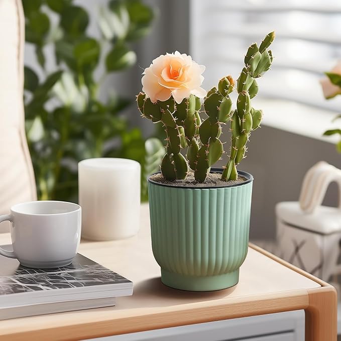 T4U 4 Inch Plant Pots Self Watering, 6 Pack African Violet Pots, Small Plant Pots for Plants, Small Indoor Plant Pot, Self Watering Planter for African Violet, Succulents (6 Pack 4" Pots, Green)