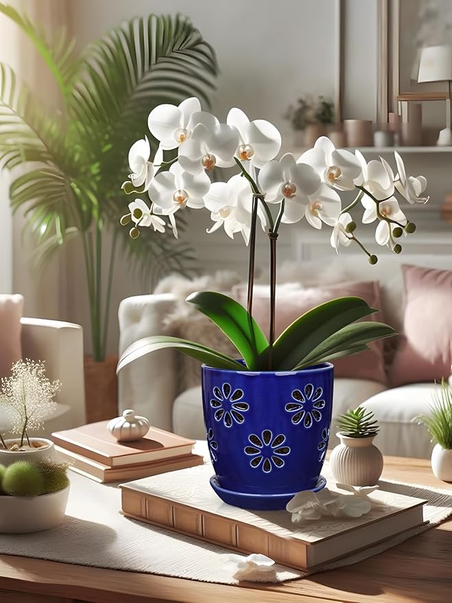 Oairse 6 inch Orchid Pots with Holes, Royal Blue Ceramic Orchid Pot for Repotting Small Indoor Plant Pots with Drainage Holes and Saucers Decorative Flower Planter for Orchids, Indoor Plant