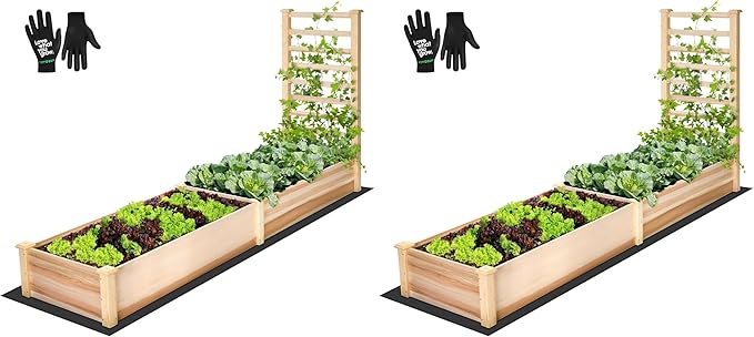 VIVOSUN Wooden Raised Garden Bed, 48 x 24 x 30 Inches, Outdoor Wood Planter Box with Gloves and a Liner, with Trellis for Vine Climbing for Garden, Patio, Balcony, Backyard and Outdoors (Pack of 2)