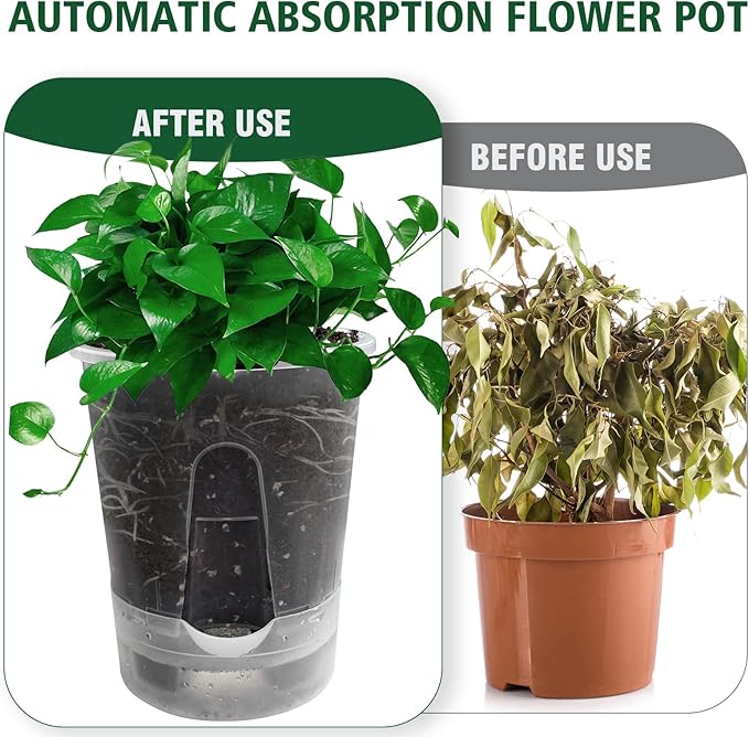 Cdd's Path Upgraded 5-Pack 6 Inch Naked Root Planter Self Watering Pots Set, Plant Pots with Holes for Indoor/Outdoor Plants with Watering Hole/Reservoir and Air Pipes, Clear