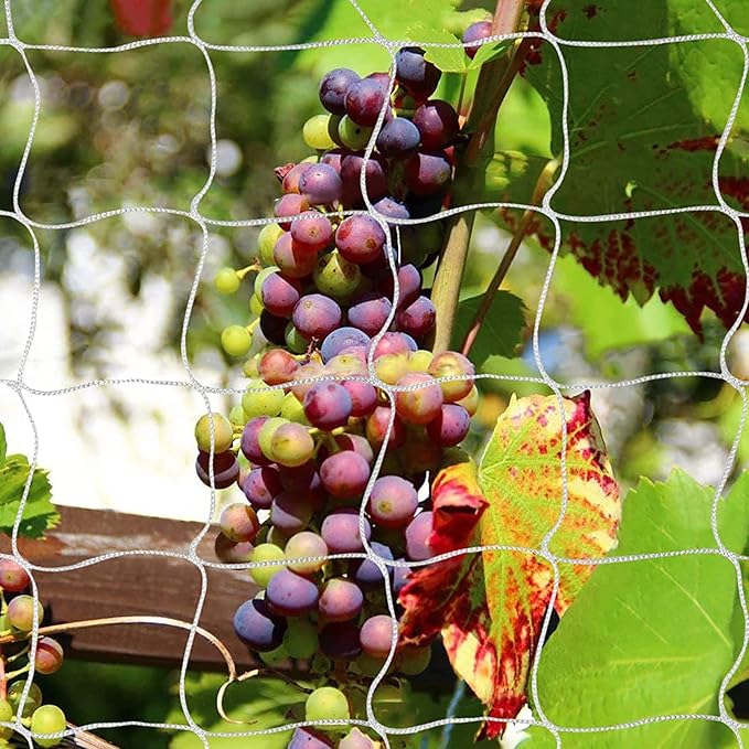 Tcamp Heavy-Duty Polyester Plant Trellis Netting 5 x 30ft (1 Pack) (5 Ft X 30 Ft)